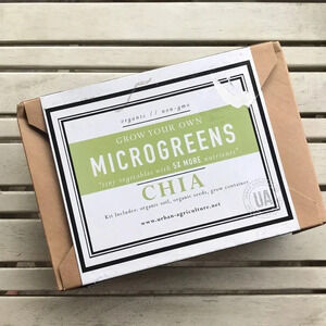 Grown your own Chia microgreens